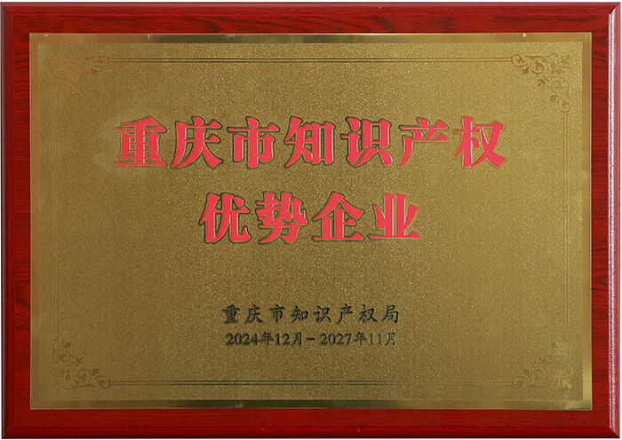 迎接市知识产权局视察
