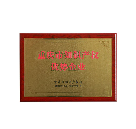 重庆市知识产权优势企业